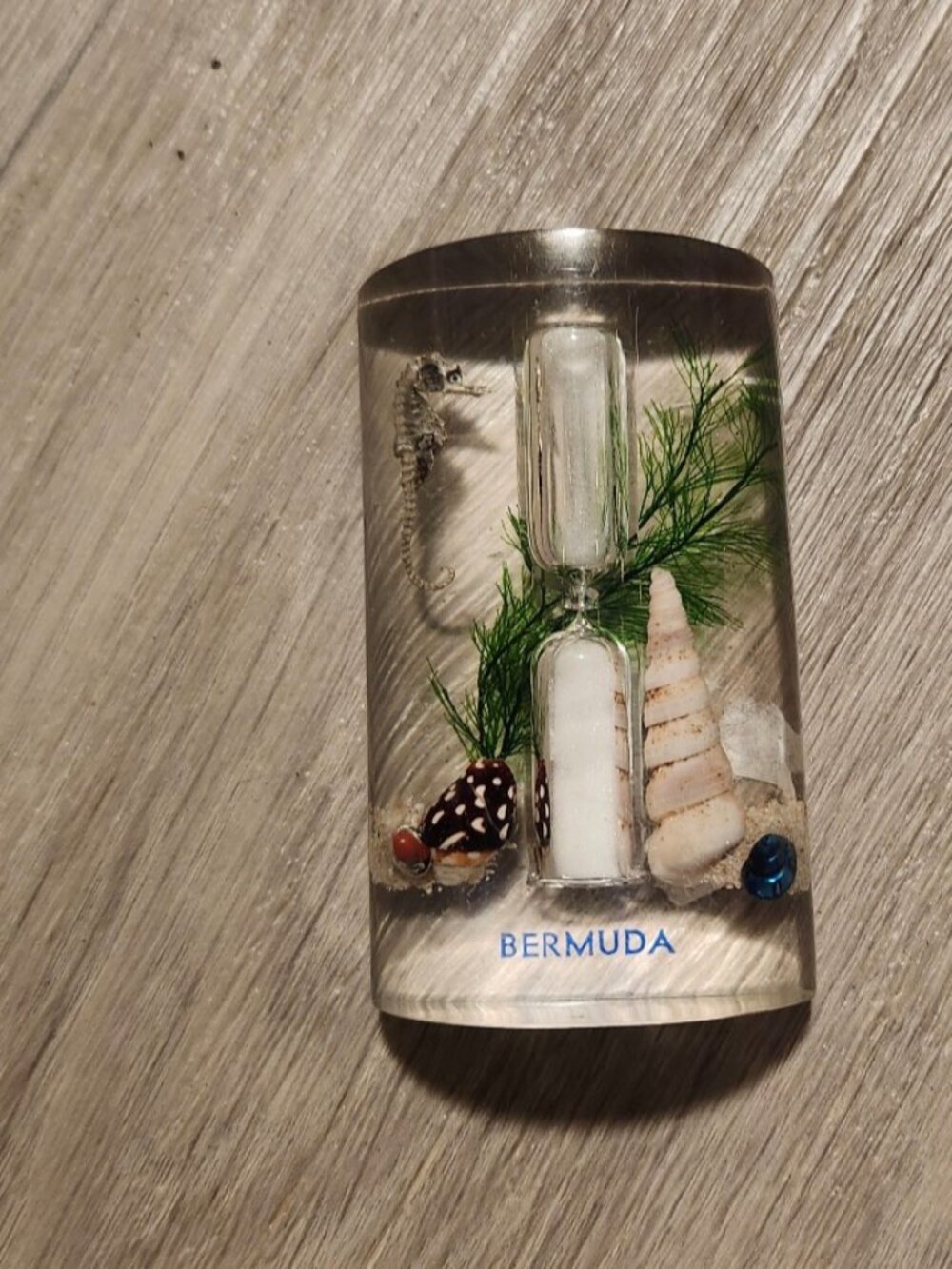 Vintage Bermuda Lucite Seahorse Shell Sand Timer Hourglass Mid Century Souvenir